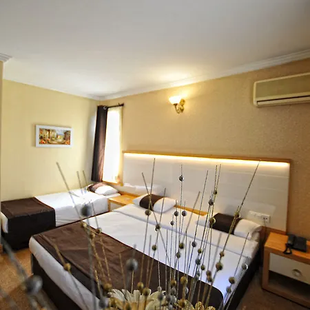 Horon 3*